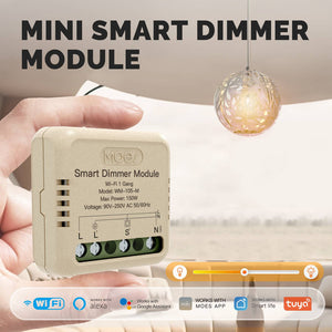 WiFi Smart Dimmer Switch Module - 1 Gang & 2 Gang, DIY Installation, Works with Alexa/Google Home, No Hub Required, 0-100% Smooth Dimming, Timer Function, No Neutral Wire (90-250V)