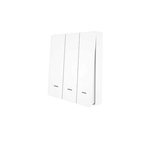 WiFi RF433 Smart Light Switch, 2-Way Multi-Control, No Neutral Wire Required, Compatible with Alexa & Google Home, Remote Control & App Control, EU Standard