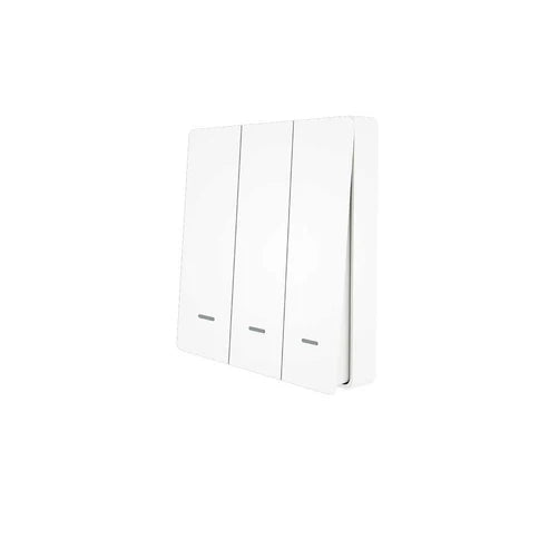 WiFi RF433 Smart Light Switch, 2-Way Multi-Control, No Neutral Wire Required, Compatible with Alexa & Google Home, Remote Control & App Control, EU Standard