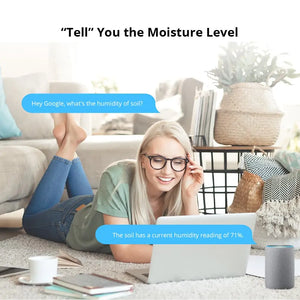 SONOFF MS01 Smart Soil Moisture Sensor with RJ9 Adapter - Plant Hygrometer for Indoor/Outdoor Use, Works with TH10/TH16 Smart Switch, Smart Home Gardening, Humidity Detection