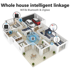 Bluetooth Smart Temperature Humidity Sensor - LCD Indoor Hygrometer Thermometer with Real-Time Monitoring, Wireless Room Climate Monitor for Home, Office, Greenhouse
