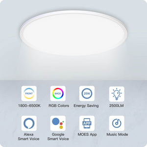 MOES Smart WiFi Ceiling Light, Ultrathin 24W RGB+CCT Dimmable LED Panel Light, Works with Alexa/Google Home, 16 Million Colors, Voice Control, Timing Function, Modern Flush Mount Lighting for Bedroom/Living Room