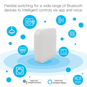 Bluetooth MESH Gateway WiFi Hub - Smart Home Bluetooth to WiFi Bridge, Works with Alexa & Google Home, Low Power Consumption, Compatible with Smart Lights/Sensors/IoT Devices (SIG Certified)