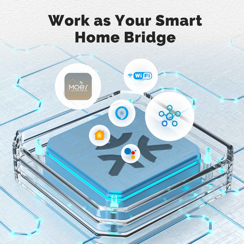 WiFi Matter Mini Smart Switch Module - Relay Timer for Lights & Appliances, DIY Home Automation, Works with Alexa/Google/HomeKit, No Hub Required, 10A 120V/240V, Smart Life & Tuya Compatible