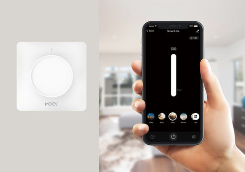 Smart Light Dimmer Rotary Switch - EU Standard with Schedule Timer & Brightness Memory, Works with Alexa/Google Home, Touch Control for Dimmable LED Lights (Neutral Wire Required)