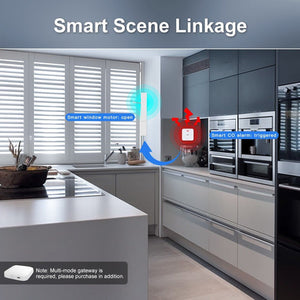 ZigBee CO Detector Alarm - Wireless Carbon Monoxide Sensor with Smart App Alerts, Battery-Powered Gas Leak Detector, Works with Alexa, Google Home, SmartThings for Home Safety