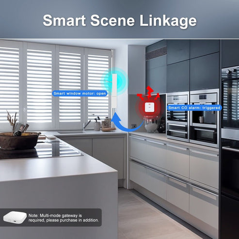 ZigBee CO Detector Alarm - Wireless Carbon Monoxide Sensor with Smart App Alerts, Battery-Powered Gas Leak Detector, Works with Alexa, Google Home, SmartThings for Home Safety