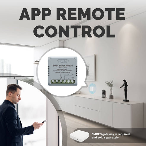 ZigBee Mini Smart Switch Module - 1 Gang & 2 Gang Relay Timer, DIY Wireless Light Switch, Works with Alexa/Google Home, No Neutral Required, Smart Life/Tuya Compatible, ZigBee Hub Needed (10A 250V)