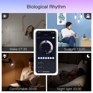ZigBee Smart E14 Candle Bulb, 5W RGBCCT Color Changing (2200K-6500K), Dimmable LED Light, Works with Alexa & Google Home, Voice Control, Candelabra Bulb for Chandeliers & Lamps, Tunable White + RGB